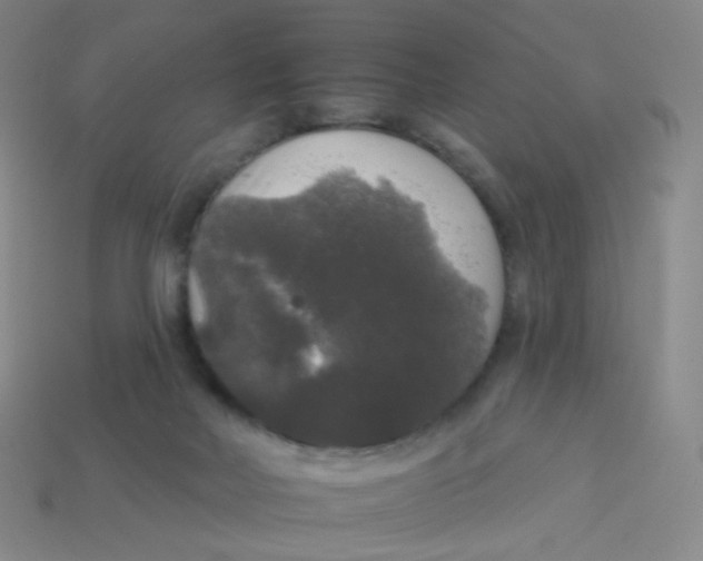 X0000113550026200910161444