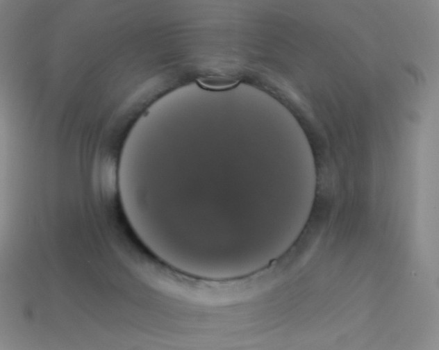 X0000113550027200910161444