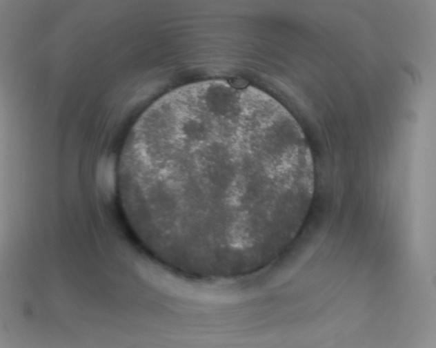X0000113550028200910161444