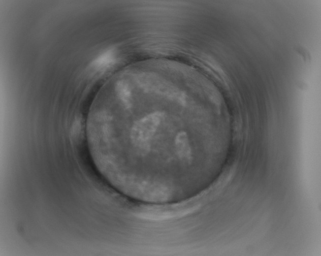 X0000113550029200910161444