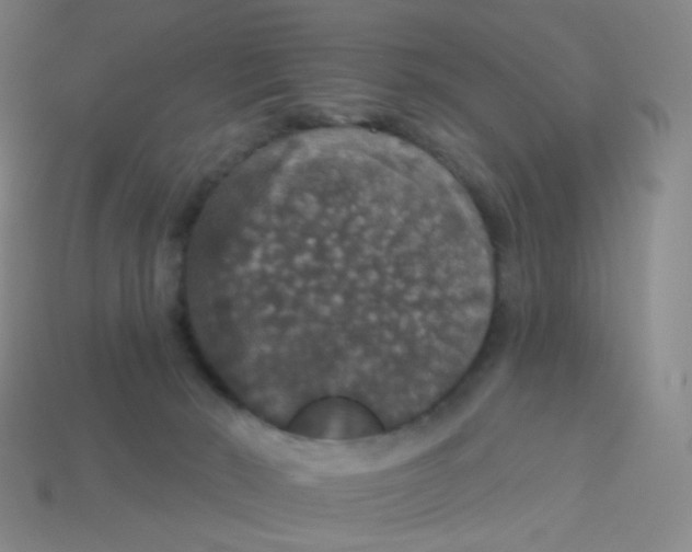 X0000113550030200910161444