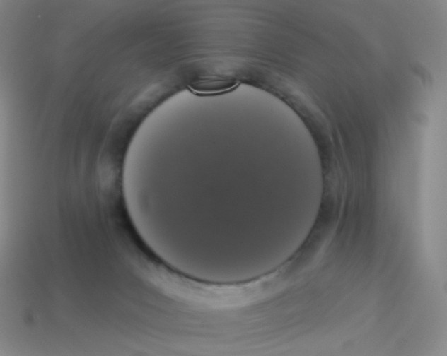 X0000113550031200910161444
