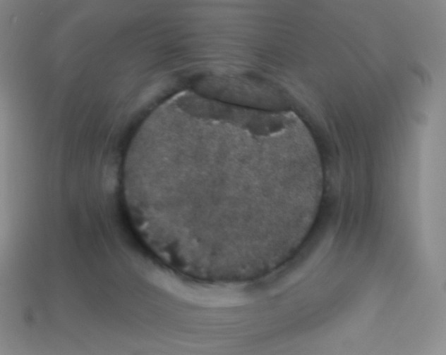 X0000113550032200910161444