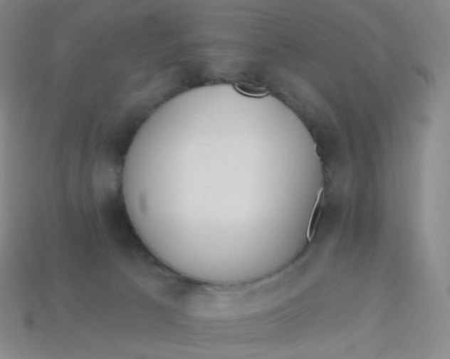 X0000113550033200910161444