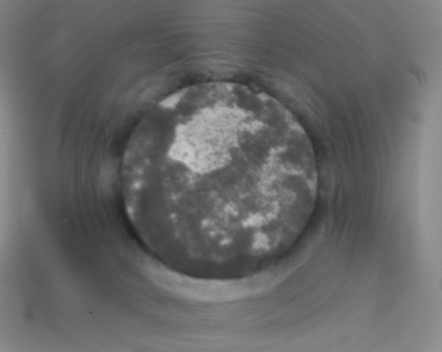 X0000113550034200910161444