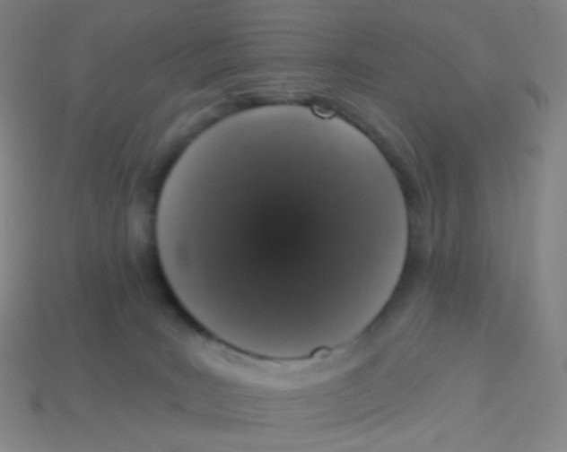 X0000113550035200910161444