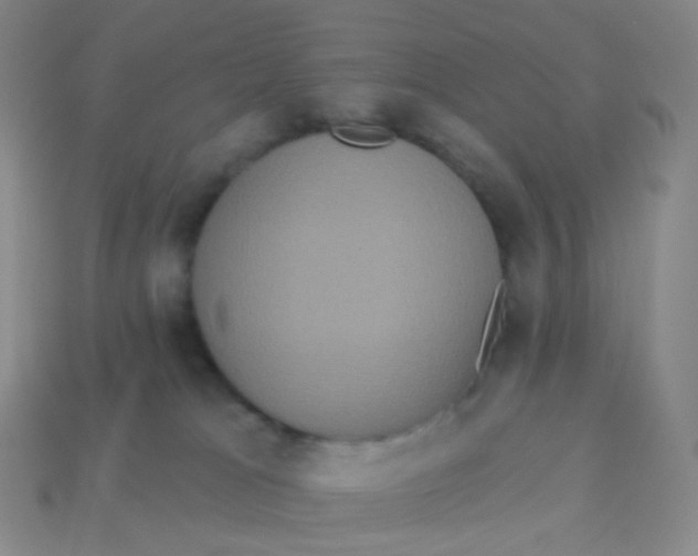 X0000113550037200910161444