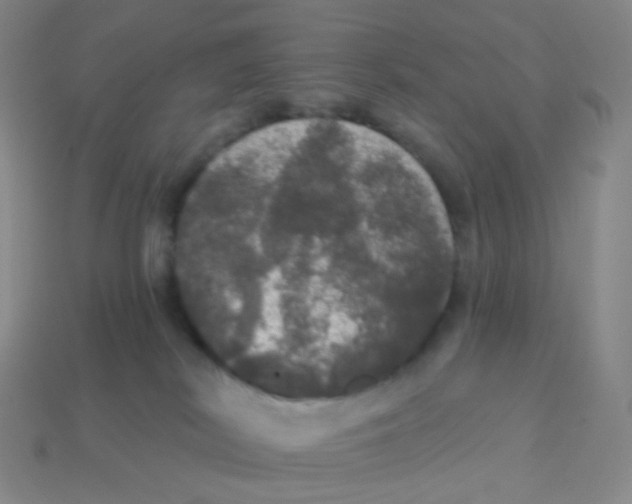 X0000113550038200910161444