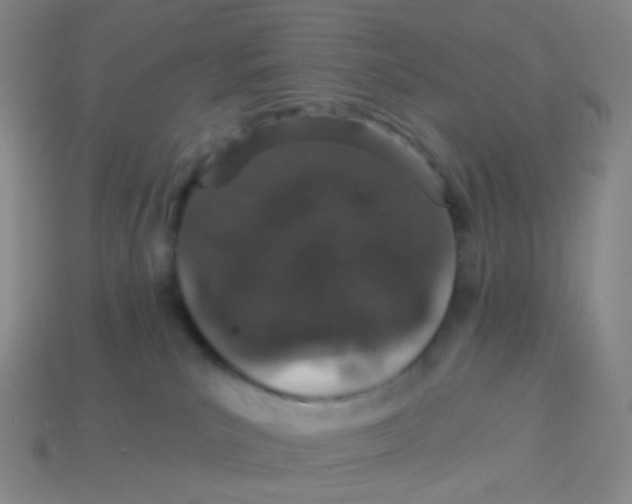 X0000113550039200910161444