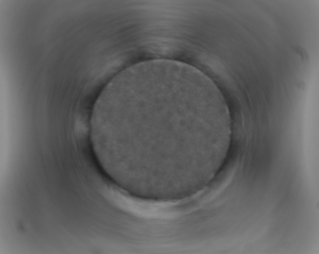 X0000113550040200910161444