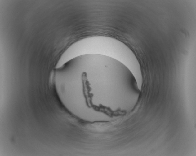 X0000113550041200910161444