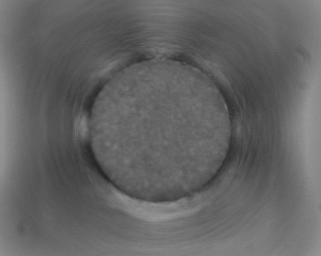 X0000113550042200910161444