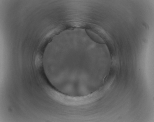 X0000113550043200910161444