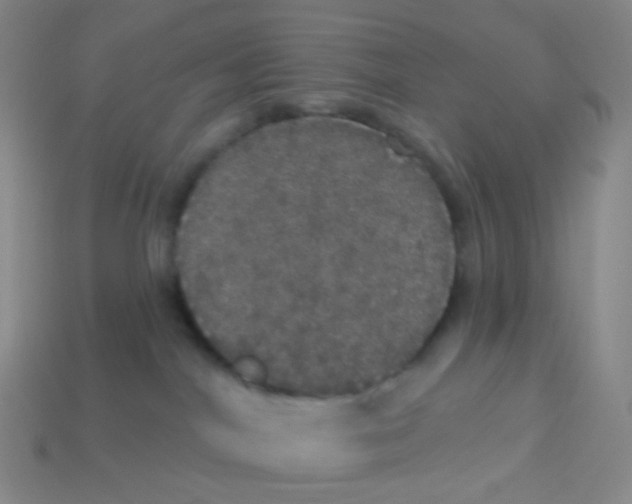 X0000113550044200910161444