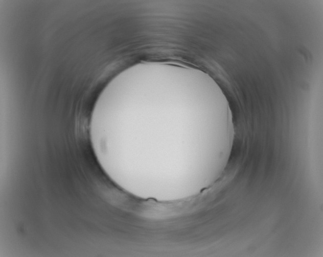 X0000113550045200910161444