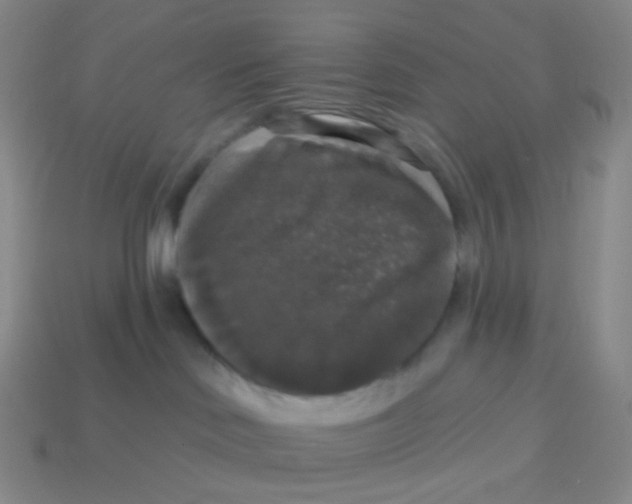 X0000113550046200910161444