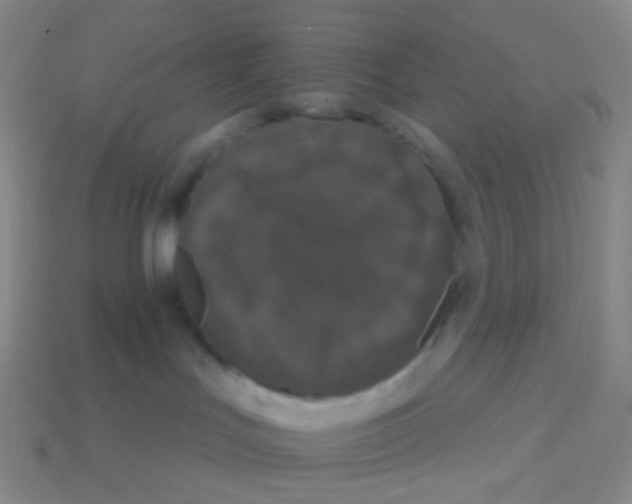 X0000113550047200910161444