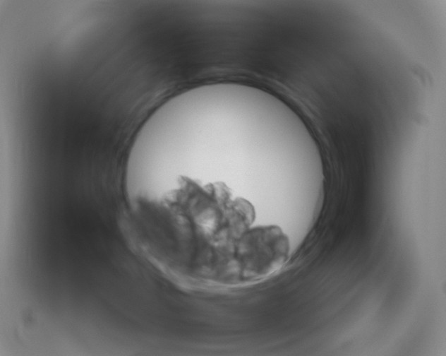 X0000113550048200910161444