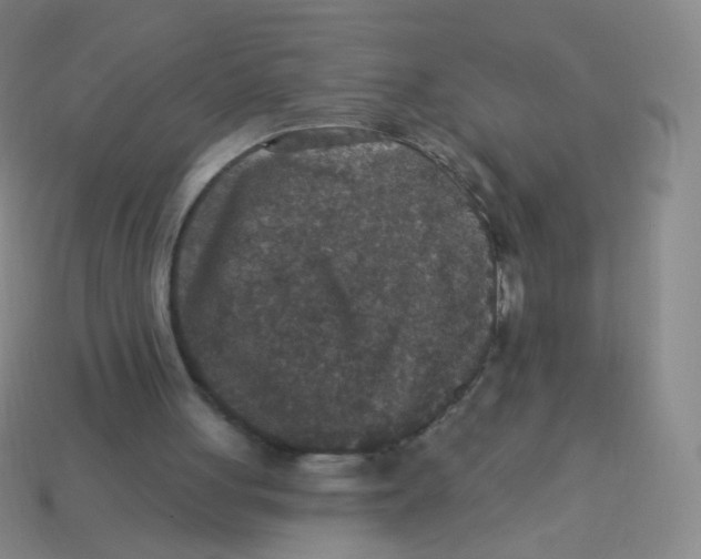X0000113550051200910161443
