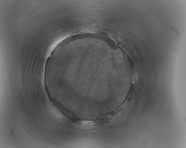 X0000113550052200910161443