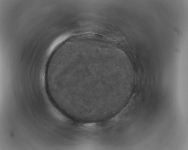 X0000113550054200910161443