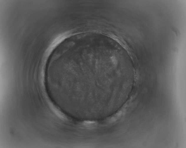 X0000113550055200910161443