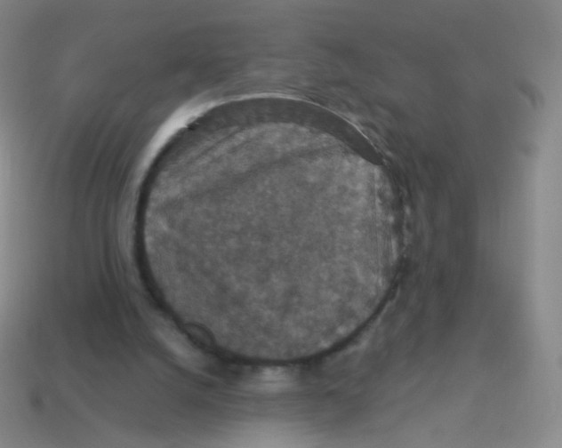 X0000113550056200910161443