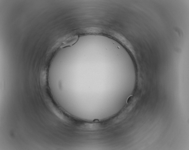 X0000113550057200910161443