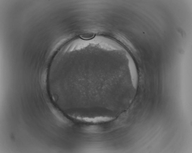 X0000113550058200910161443
