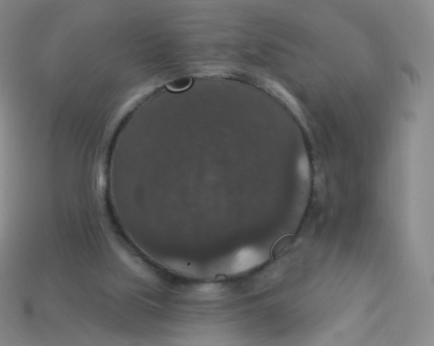 X0000113550059200910161443