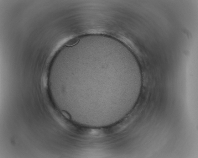 X0000113550060200910161443