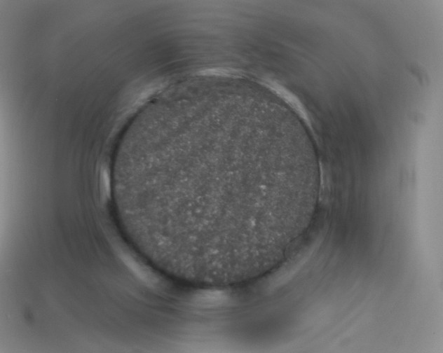 X0000113550061200910161443