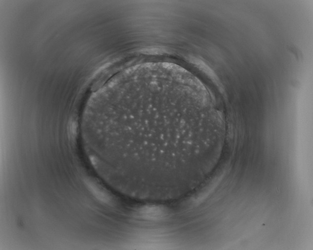 X0000113550063200910161443
