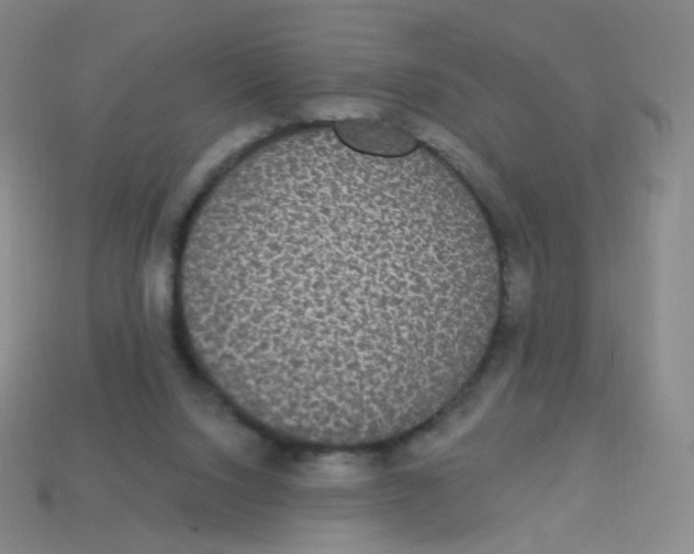 X0000113550064200910161443
