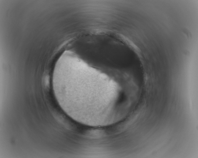X0000113550067200910161443