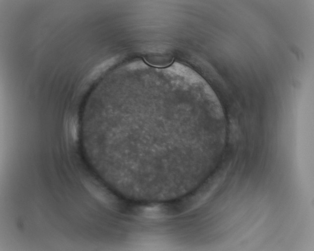 X0000113550068200910161443