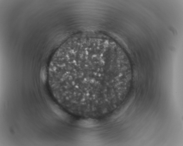 X0000113550069200910161443