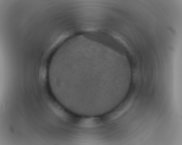 X0000113550072200910161443