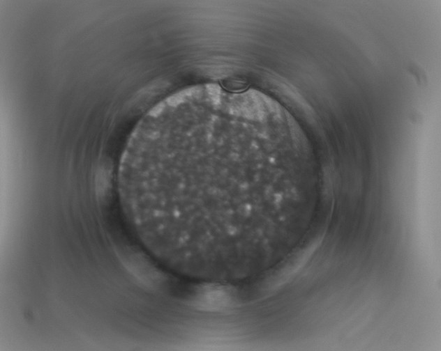 X0000113550073200910161443