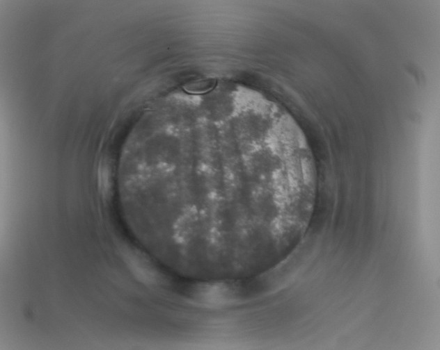 X0000113550074200910161443