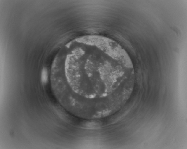 X0000113550075200910161443