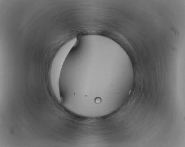 X0000113550076200910161443