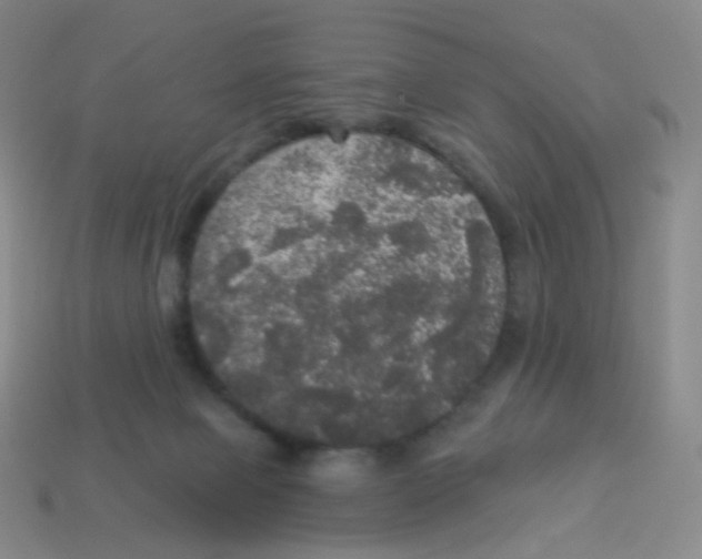 X0000113550077200910161443
