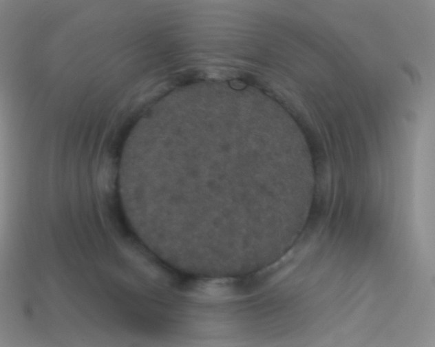 X0000113550078200910161443