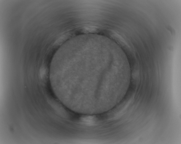 X0000113550079200910161443