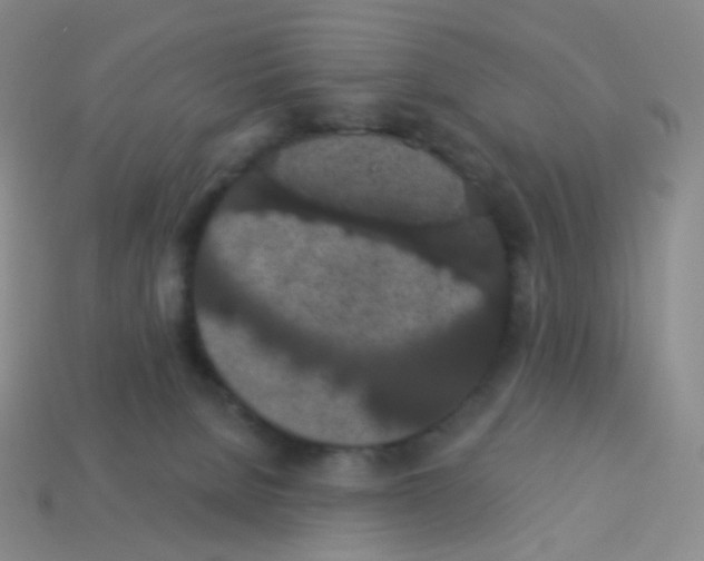 X0000113550080200910161443