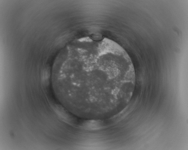 X0000113550082200910161443
