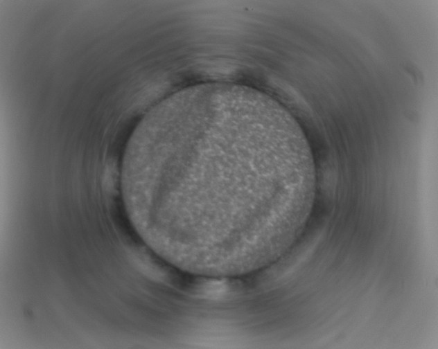 X0000113550083200910161443