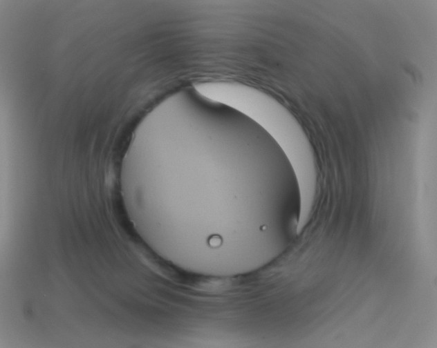 X0000113550084200910161443