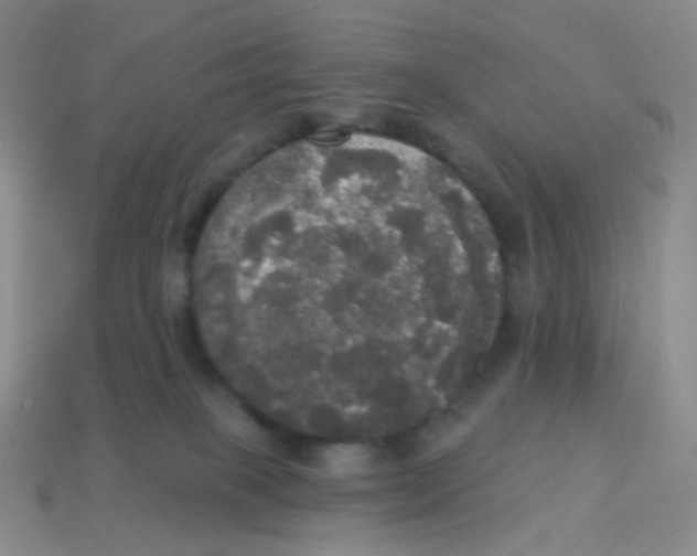 X0000113550085200910161443